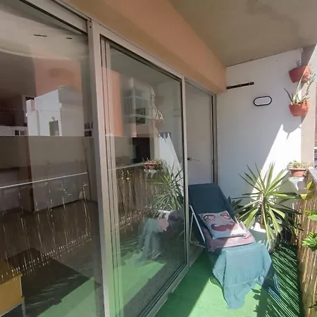 Rentenerife Tropical Banana -