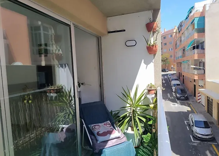 Rentenerife Tropical Banana - * 엘메다노