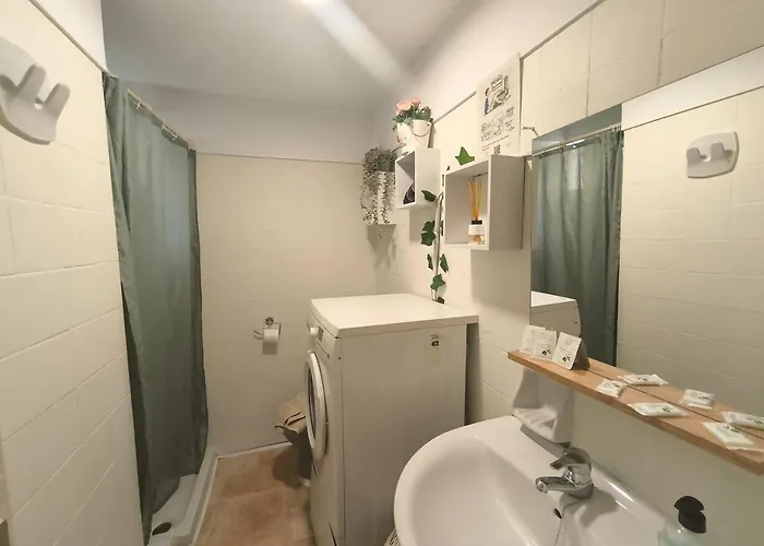 Rentenerife Tropical Banana - * 엘메다노